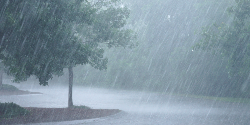 weitere Informationen auf der Seite Klimaanpassung weitere Informationen auf der Seite Klimaanpassung