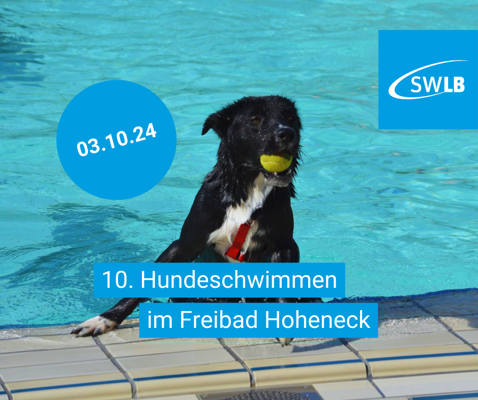 10. Hundeschwimmen im Freibad Hoheneck am 3.10.24