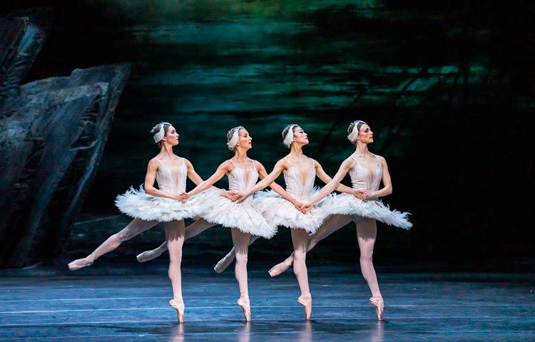 The Royal Ballet: Schwanensee