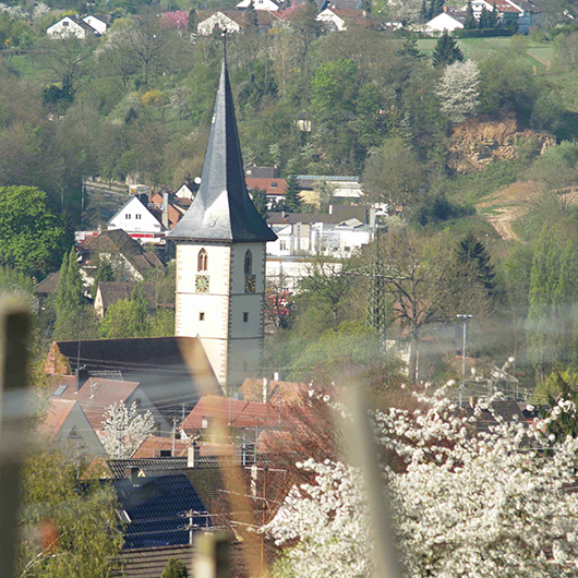 Stadtteilansicht Neckarweihingen