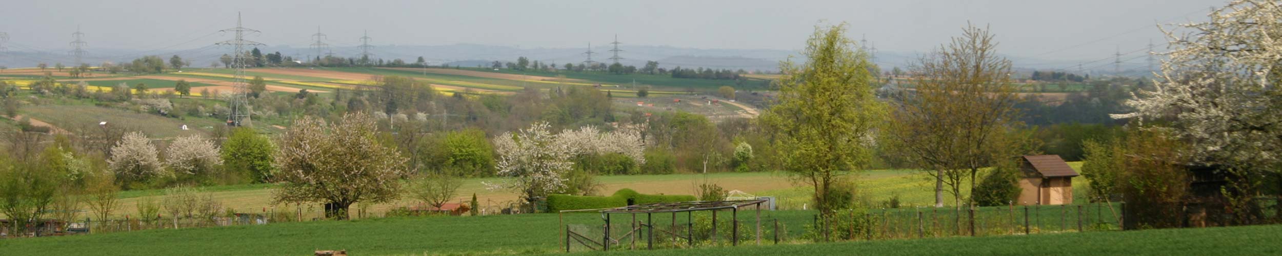 Wiese im Bereich Schlösslesfeld